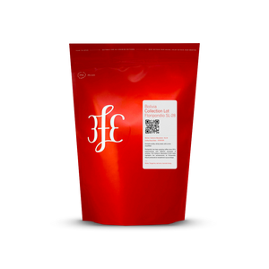 Bolivia - Floripondio: Carbonic Maceration, SL28